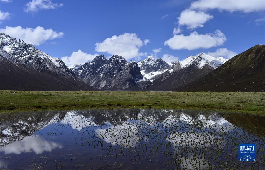 （新華全媒頭條·聚焦生物多樣性大會(huì)·圖文互動(dòng)）（7）攜手同行，開啟人類高質(zhì)量發(fā)展新征程——習(xí)近平主席在《生物多樣性公約》第十五次締約方大會(huì)領(lǐng)導(dǎo)人峰會(huì)上的主旨講話解讀