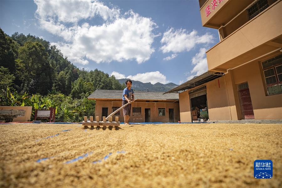 (新華全媒頭條·圖文互動)(6)從百年黨史汲取不懈奮斗的力量——與會同志談黨的十九屆六中全會精神