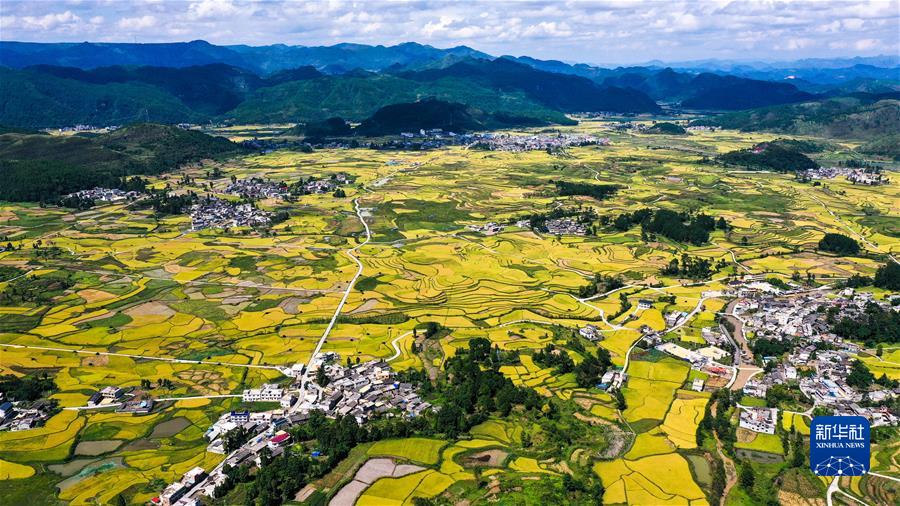 (新華全媒頭條·圖文互動)(7)從百年黨史汲取不懈奮斗的力量——與會同志談黨的十九屆六中全會精神